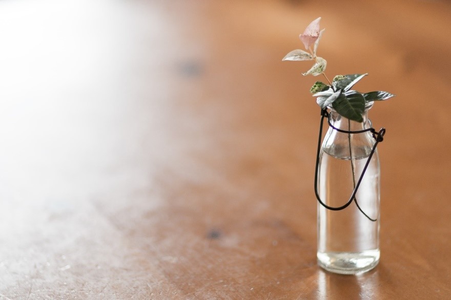 テーブル, 小さい, 花, 花瓶 が含まれている画像

自動的に生成された説明